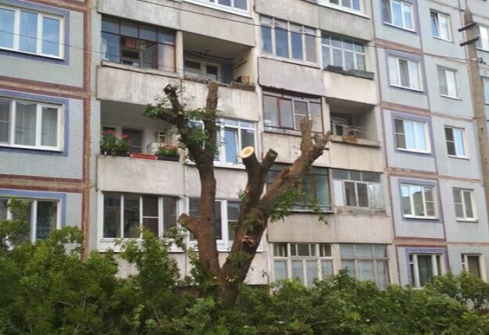 изображение_20200722_190530