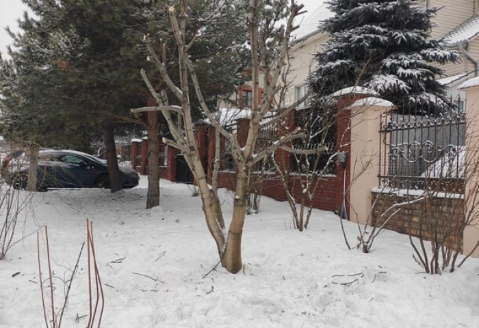 изображение_20201220_120142