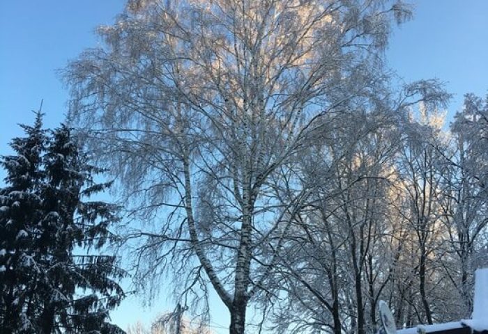 изображение_2942