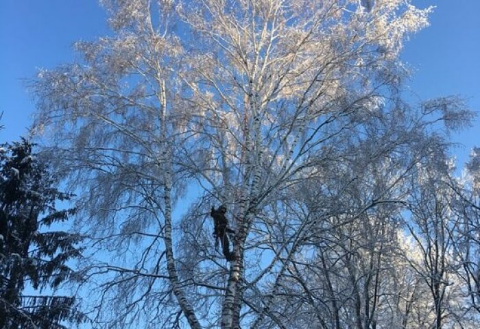 изображение_2945