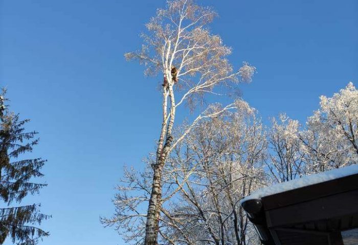 изображение_2953