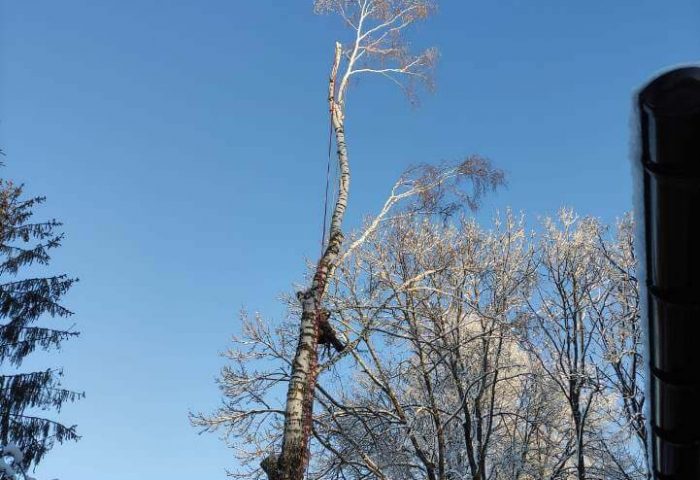 изображение_2955