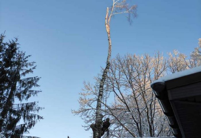 изображение_2956