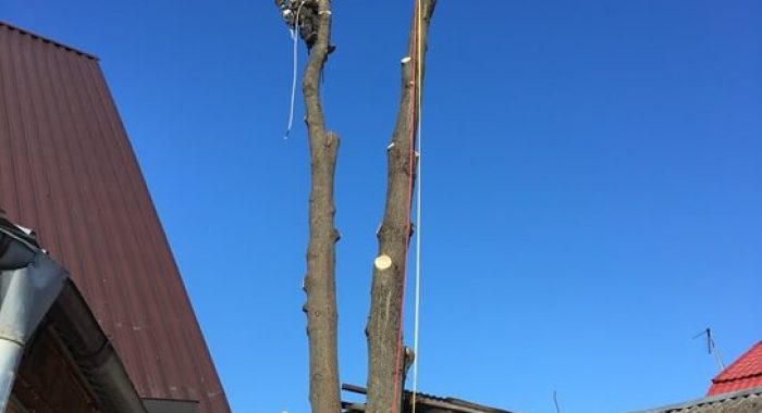 изображение_3882