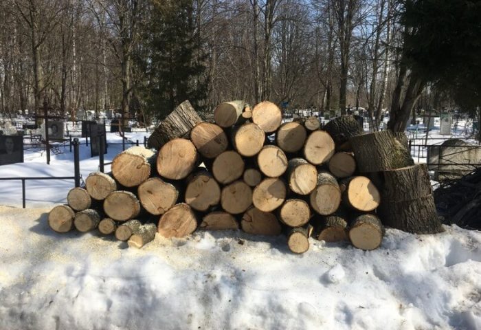 изображение_4636